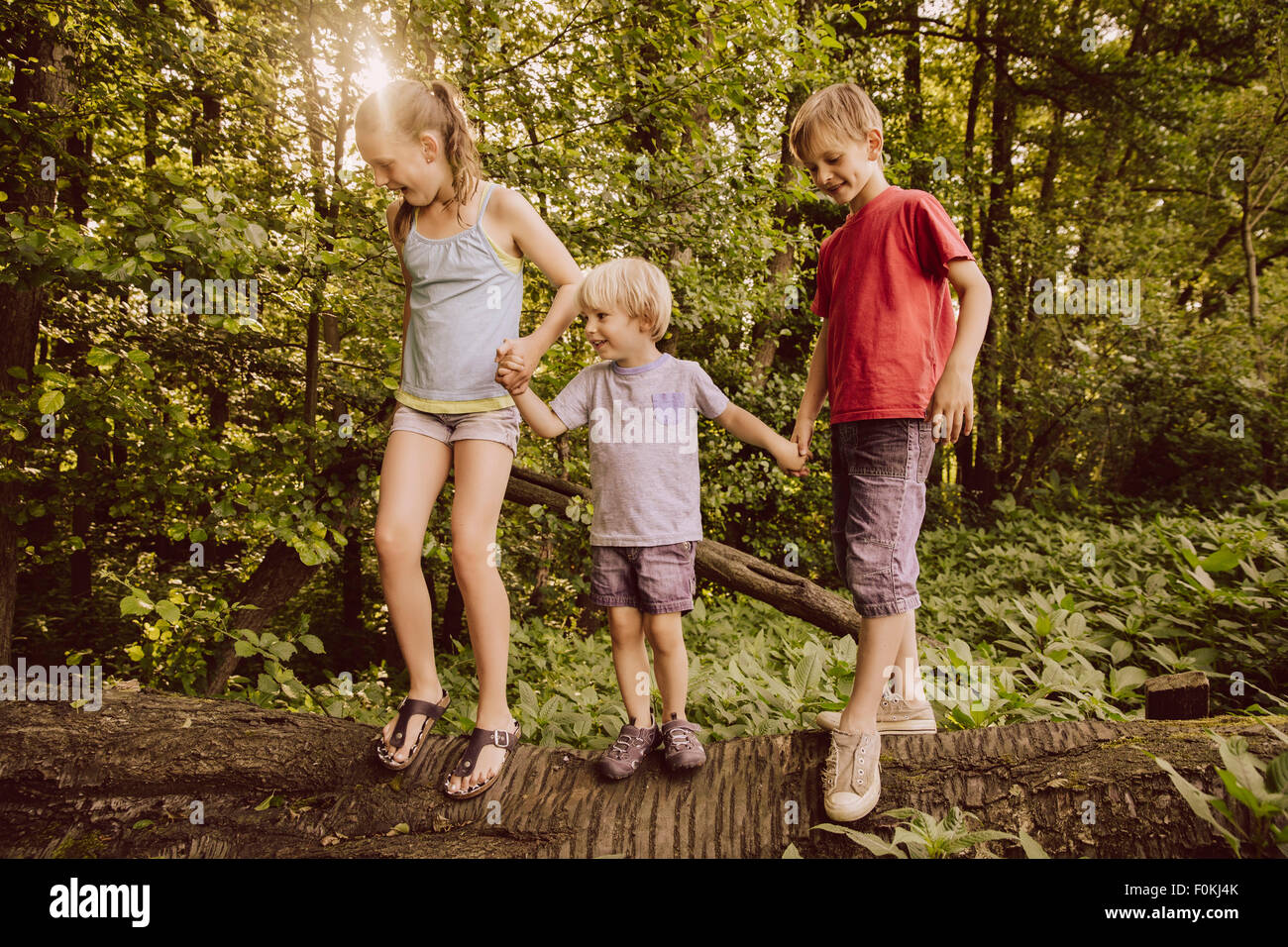 Tre bambini in equilibrio su albero caduto nella foresta Foto Stock