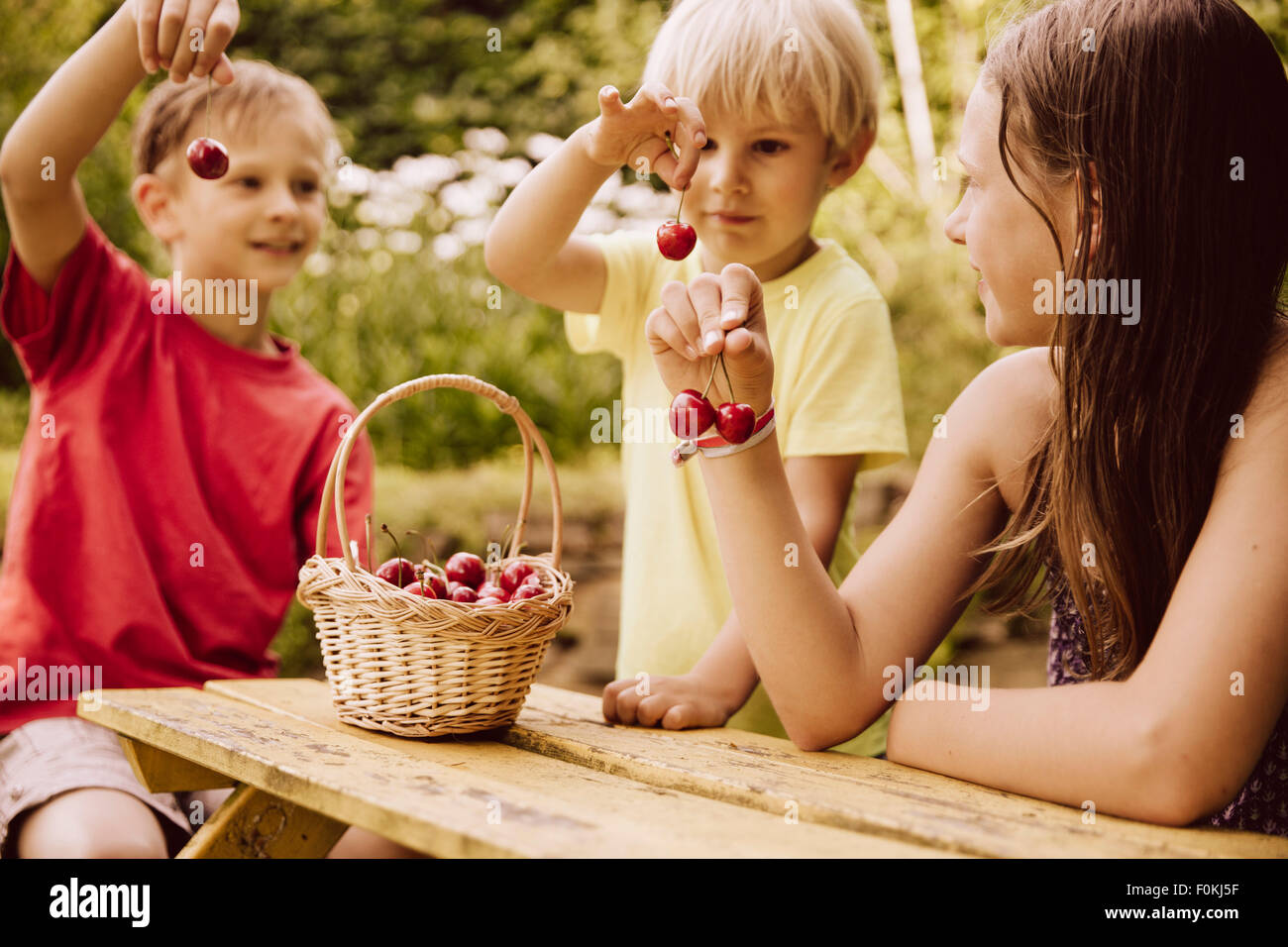 Tre bambini tenendo premuto fino le ciliegie in giardino Foto Stock