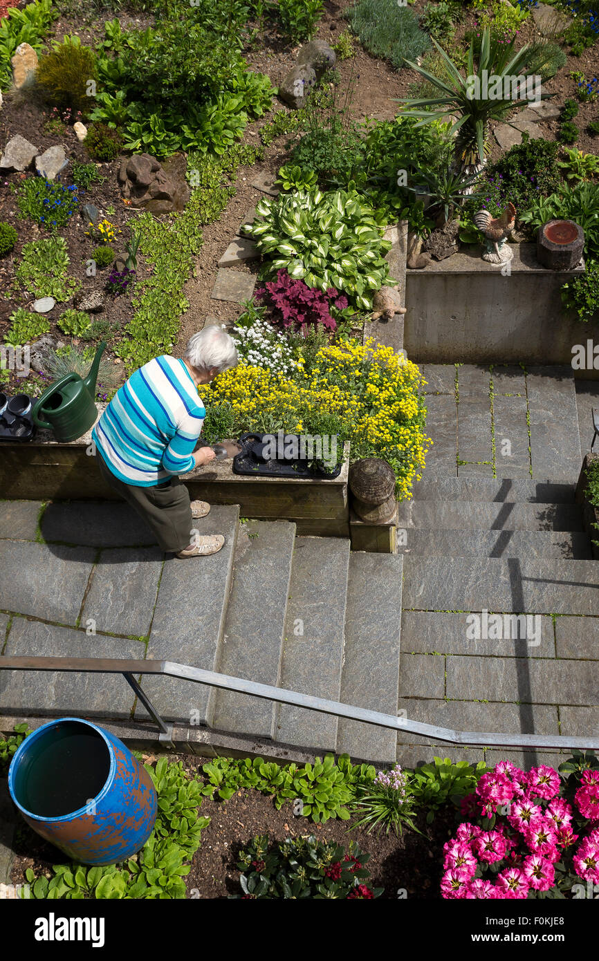 Senior donna lavora in giardino Foto Stock