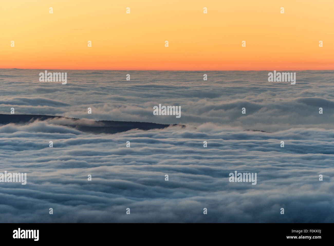 Germania, Sassonia-Anhalt, cloud copertura sopra: Parco Nazionale di Harz al tramonto Foto Stock