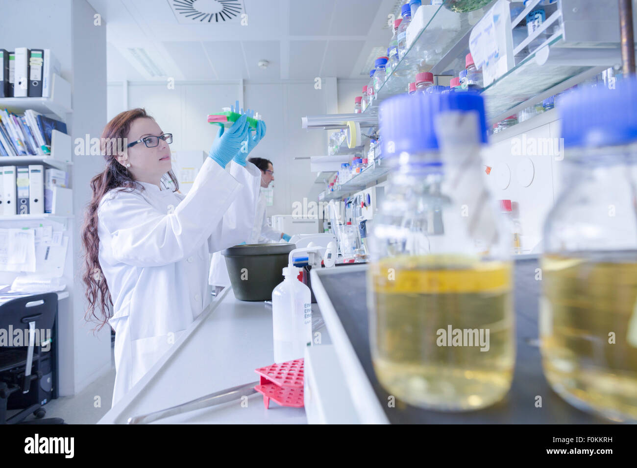 Tecnico di laboratorio esaminare il campione Foto Stock