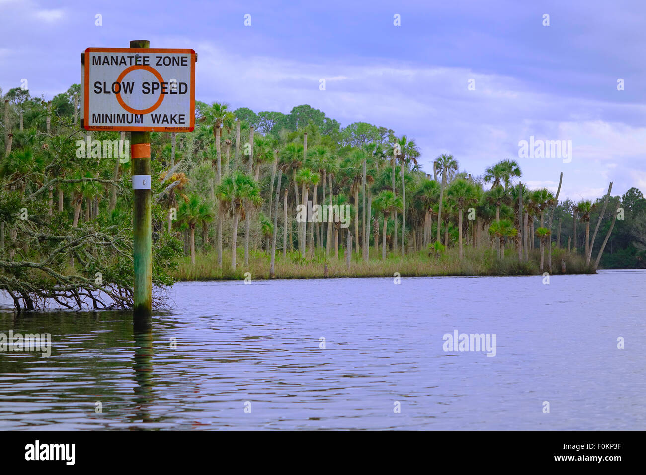 Zona Manatee, velocità lenta, il minimo segno di riattivazione su Strickland Creek, Ormond Beach, Florida Foto Stock