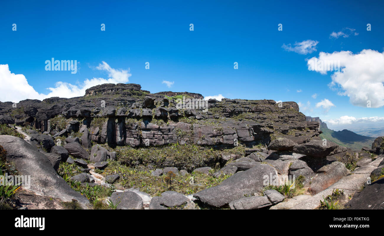 Panorama dalla cima del Roraima Tepui con cielo blu - Table Mountain - triplice frontiera, Venezuela, Guyana, Brasile Foto Stock