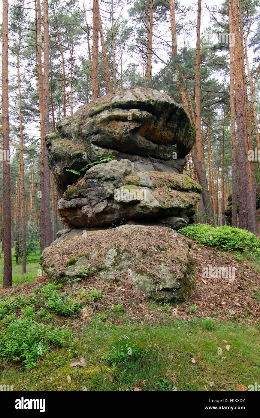 Bizzarra roccia arenaria formazione nella foresta Foto Stock