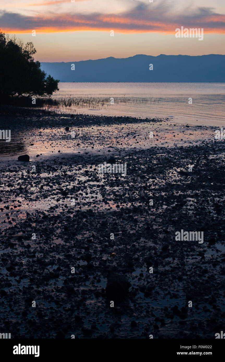 Scenario di mangrovie e paesaggio costiero durante il tramonto a Jontona, Isola di Lembata, Indonesia. Foto Stock