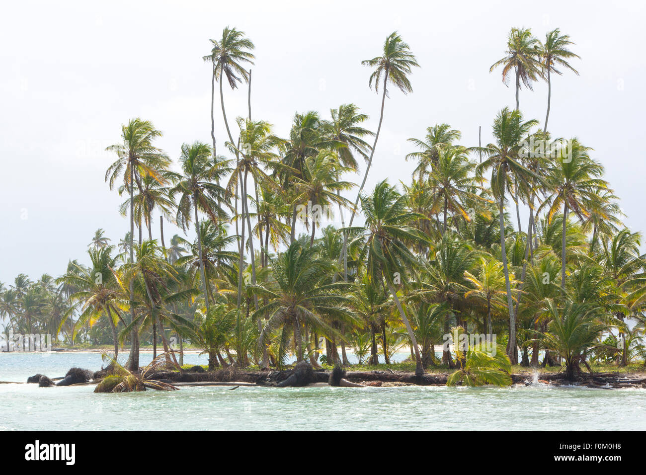 Oceano e alberi di noce di cocco in isole San Blas, Panama 2014. Foto Stock