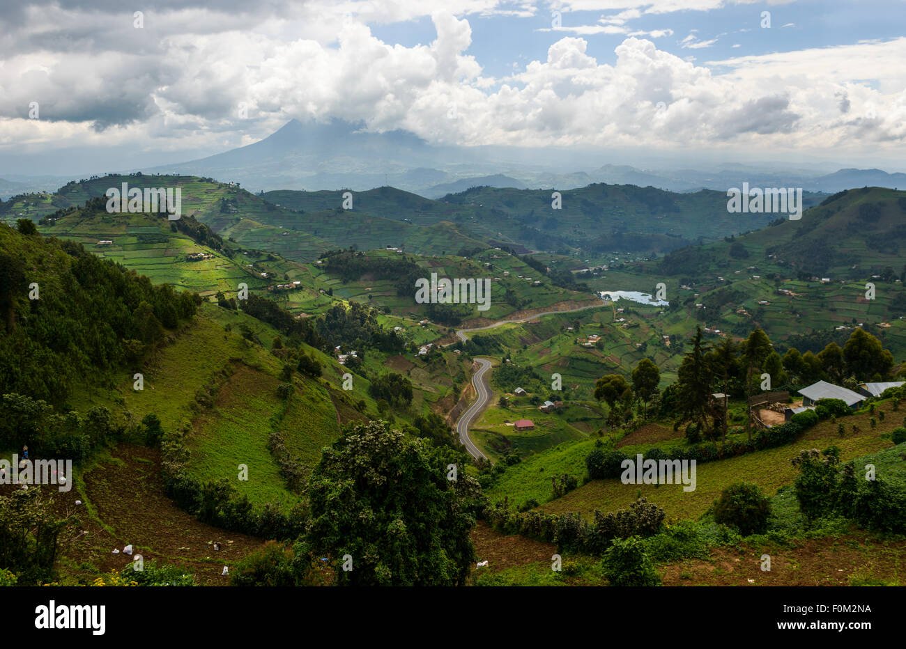Montagne Virunga, Uganda, Africa Foto Stock