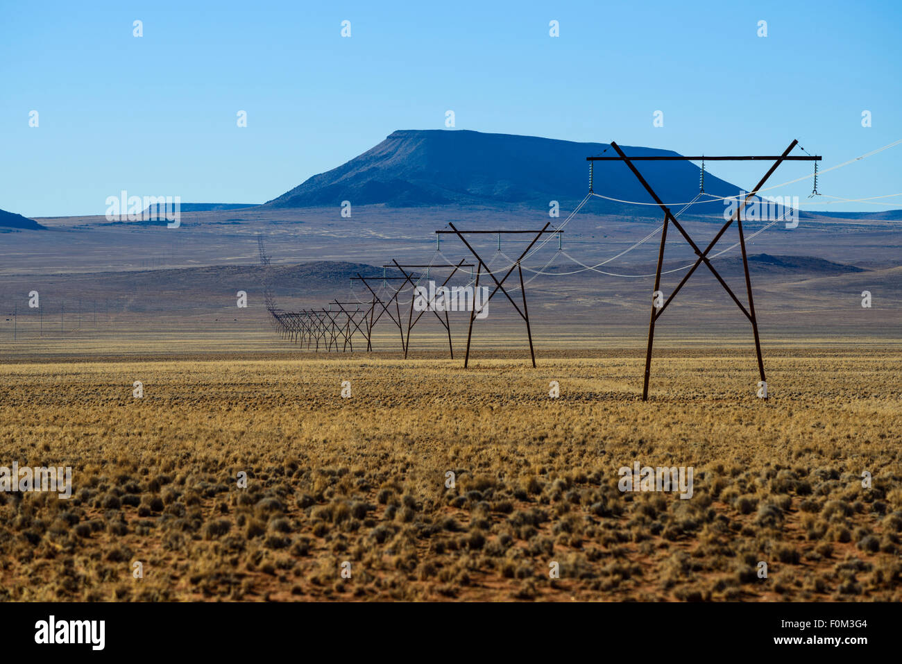 Tensione alta torre attraverso il Deserto Namibiano, Africa Foto Stock