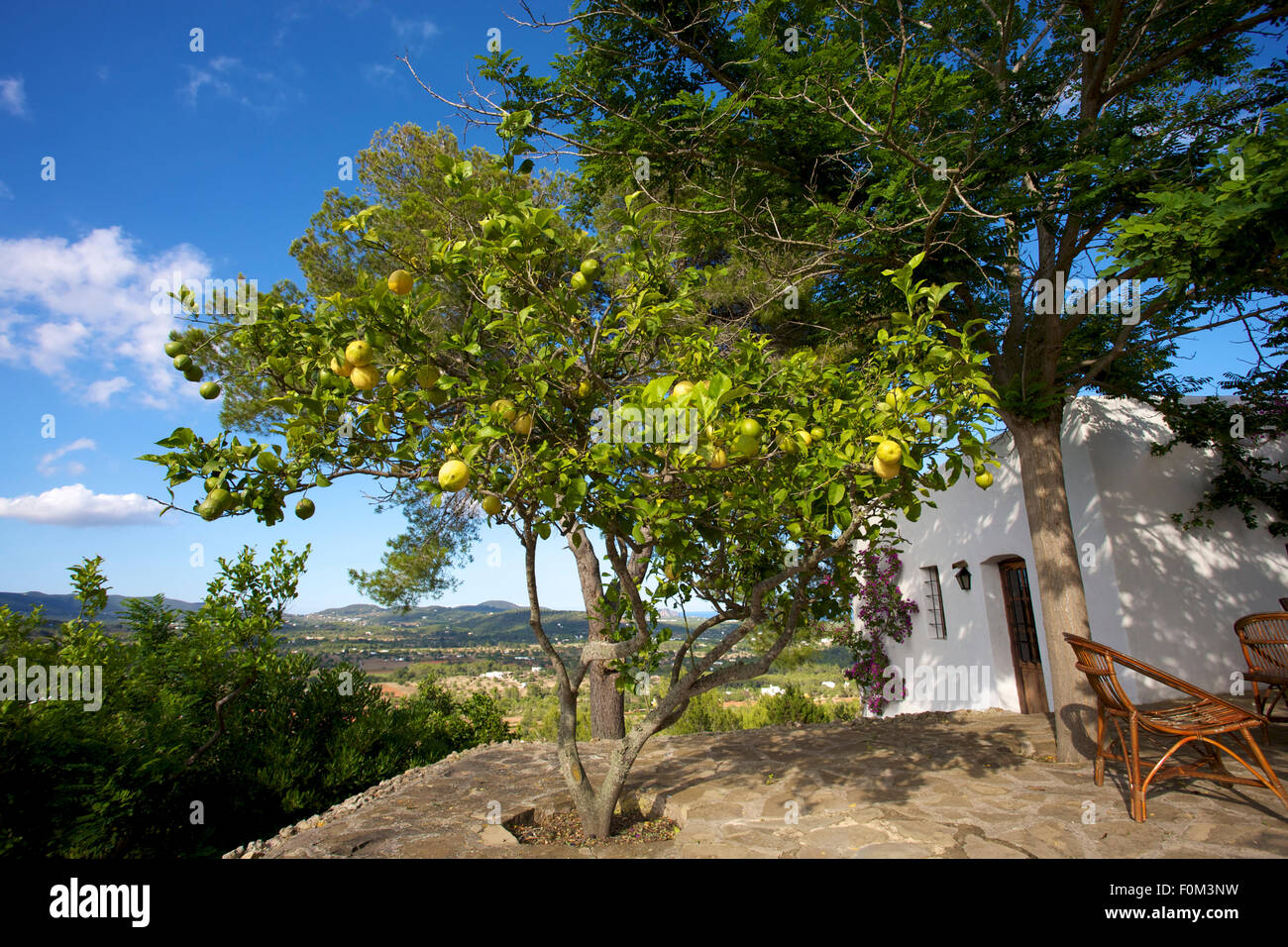 Casa mediterranea a Ibiza e un albero di limone in un cielo blu. Foto Stock