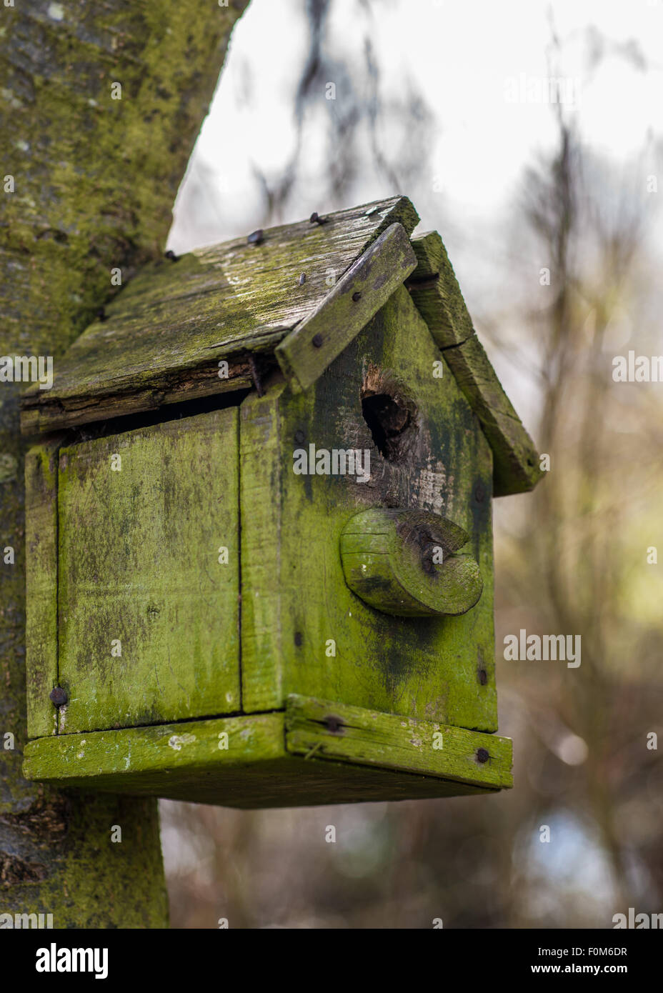Un vecchio legno Bird House Foto Stock