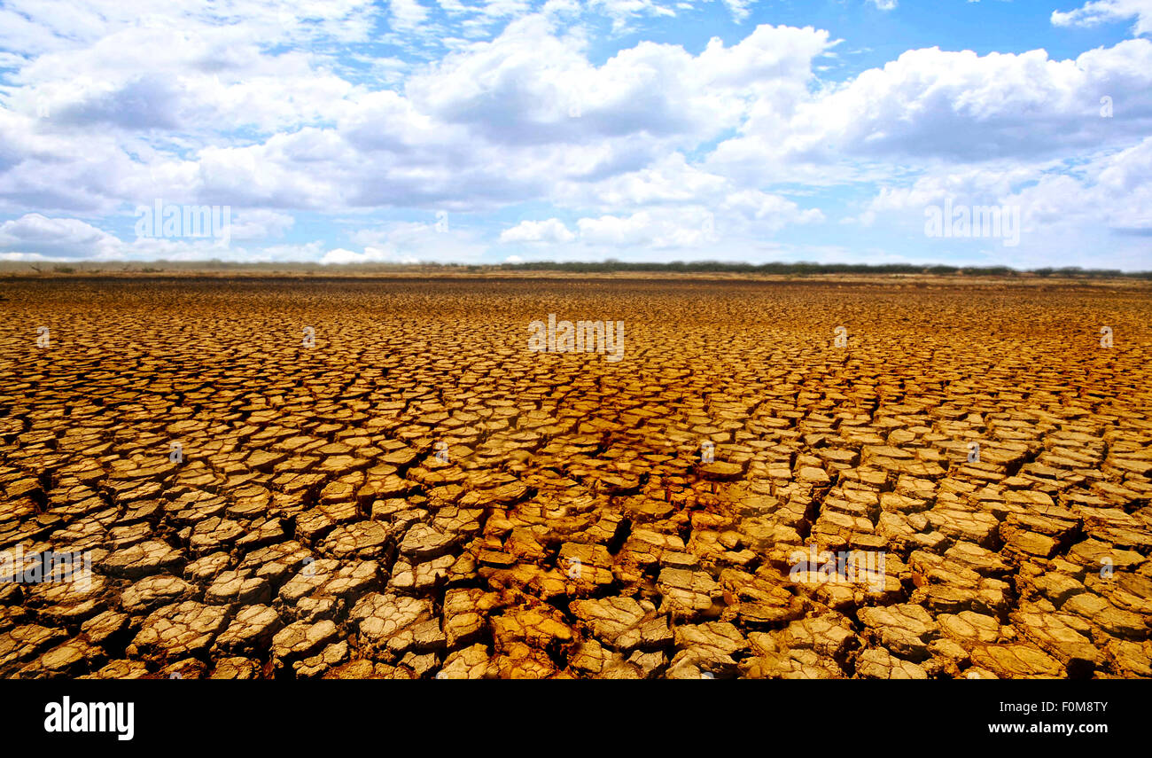 Arido deserto nel parco nazionale di Sarigua in Panama Foto Stock