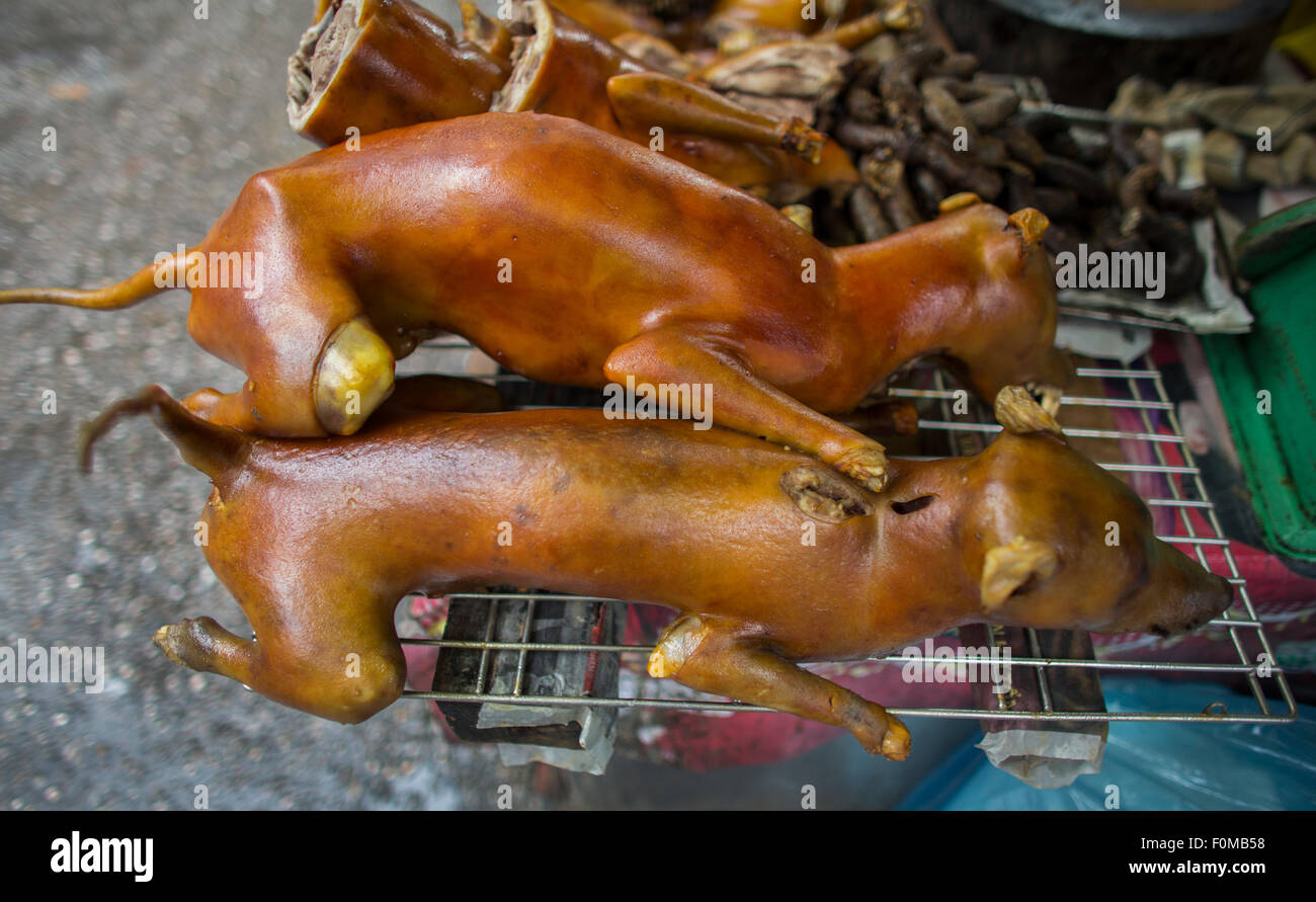 Il cane è una prelibatezza in Vietnam Foto Stock