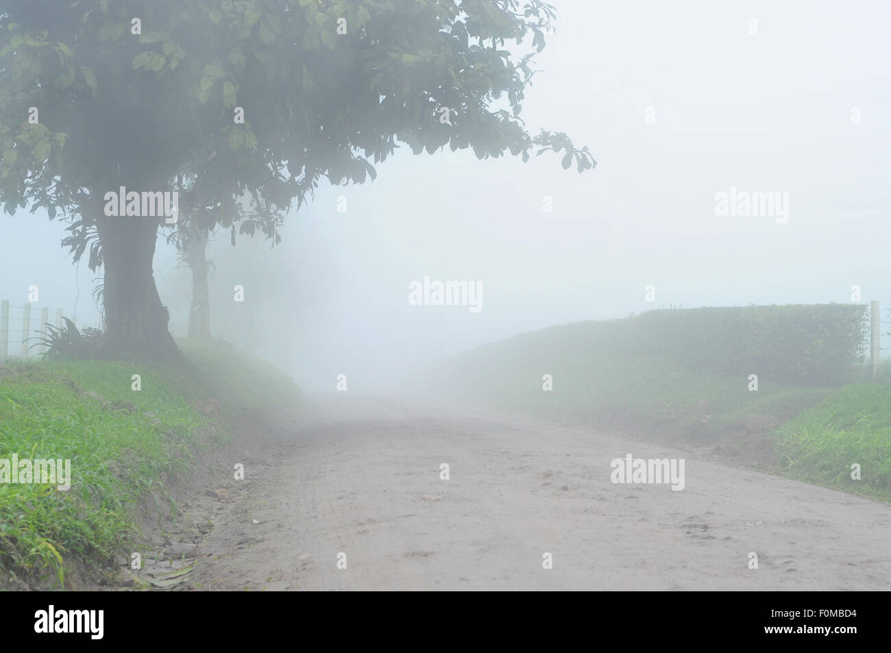 Foggy country road in una fredda mattina Foto Stock