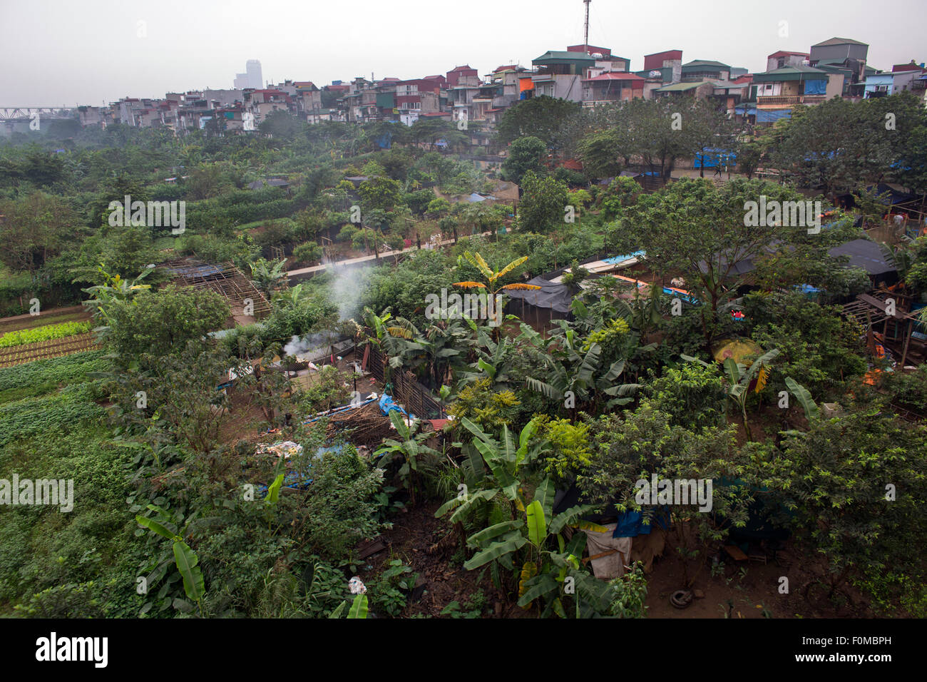 Giardini sul bordo della città di Hanoi Foto Stock