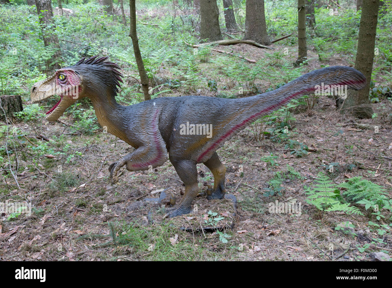 Troodon un uccello estinto-come theropod dinosauro del Cretaceo Dinosaurier Park Germania Foto Stock