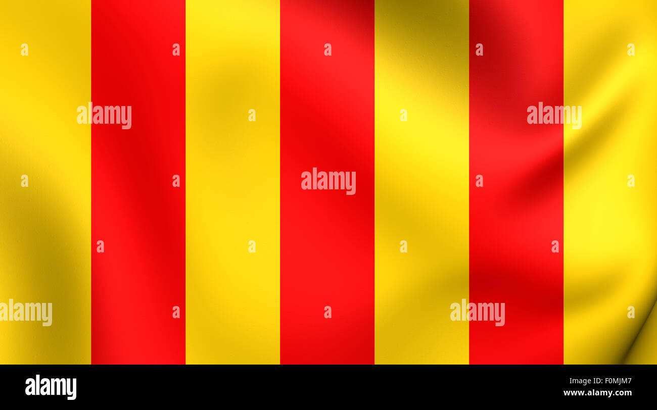Contea di Foix 3D Bandiera, Francia. Close up. Foto Stock