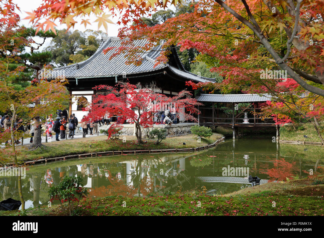 Tempio e giardini in autunno, Kodai-ji, Higashiyama meridionale, Kyoto, Giappone, Asia Foto Stock