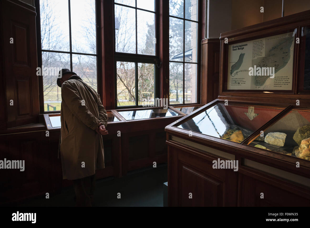 Esposizione di fossili. Museo di Storia Naturale. Università di Oslo. La Norvegia. Foto Stock