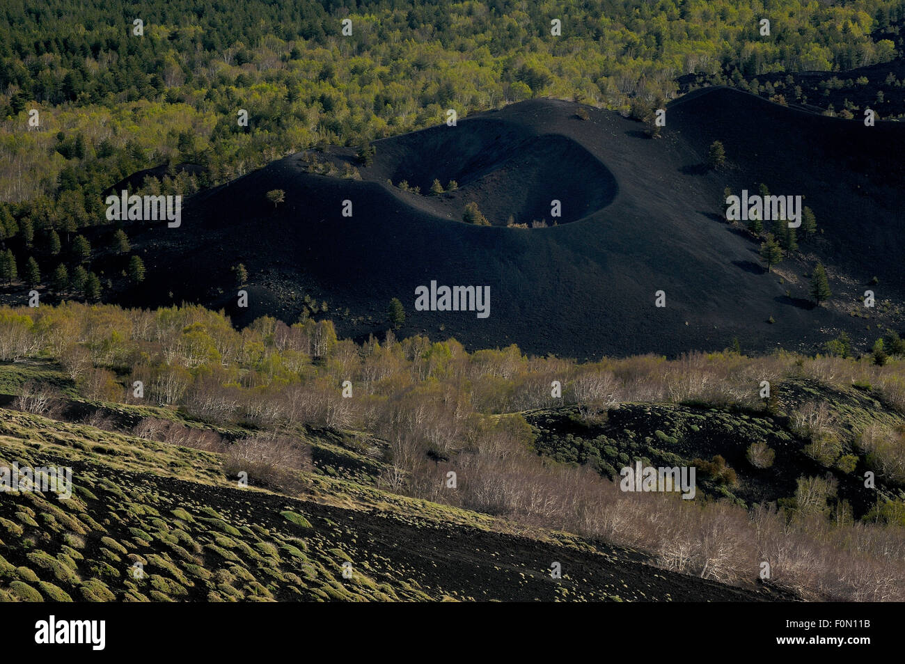 Cono vecchio in "la Valle del Bove' il versante orientale del Monte Etna, Sicilia, Italia, Maggio 2009 Foto Stock