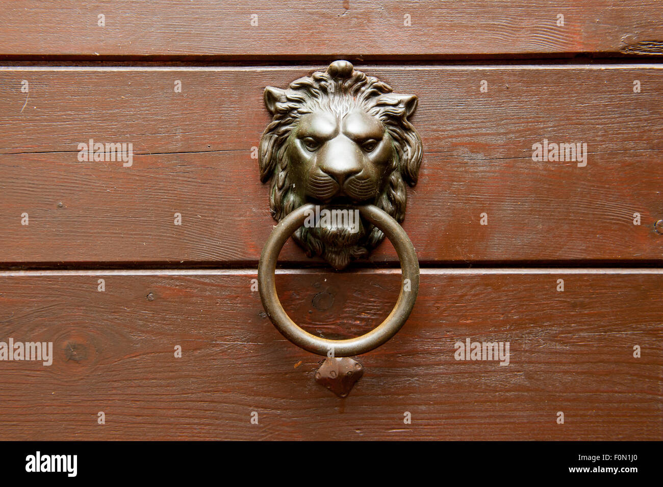 Leone di Bronzo Testa maniglia sulla porta di legno, vecchio stile la decorazione della casa Foto Stock