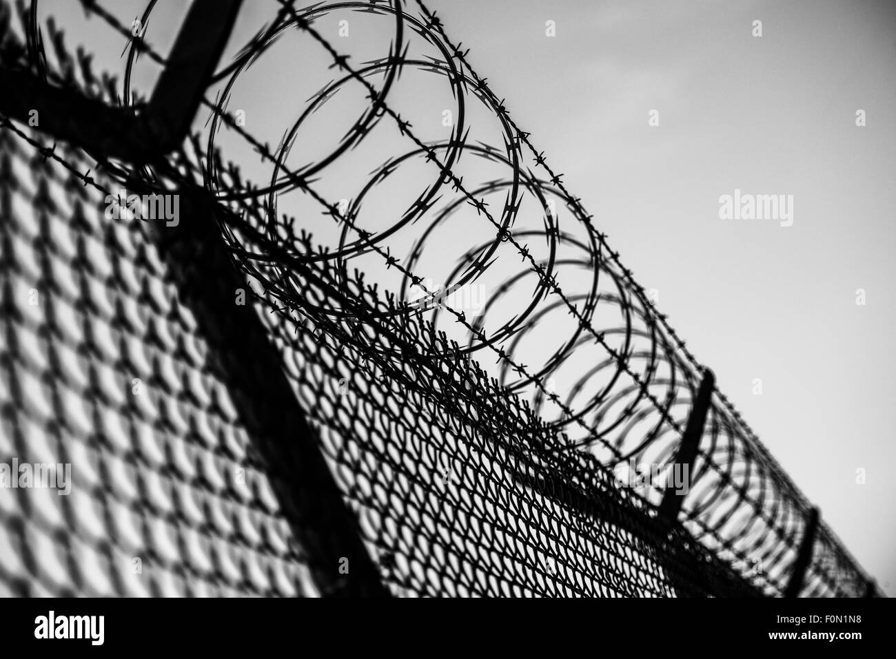 Recinzione di prigione in bianco e nero. Filo spinato Closeup. Foto Stock