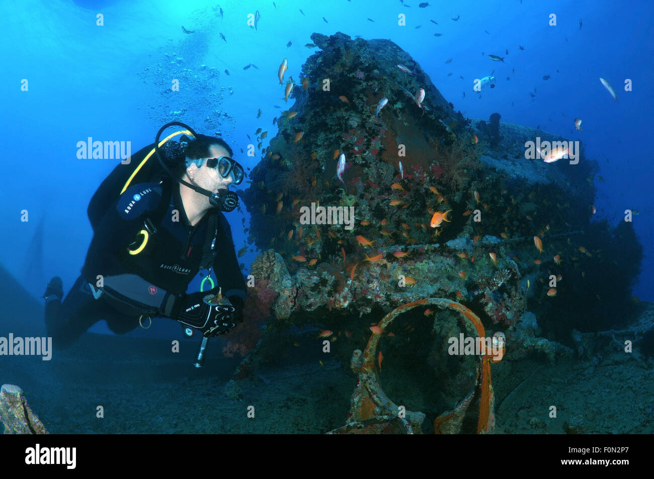 Egitto, Mar Rosso. 15 ottobre, 2014. Sommozzatore guardando il carro, naufragio SS Thistlegorm (armate britanniche Marina Mercantile nave), Mar Rosso, Egitto © Andrey Nekrasov/ZUMA filo/ZUMAPRESS.com/Alamy Live News Foto Stock