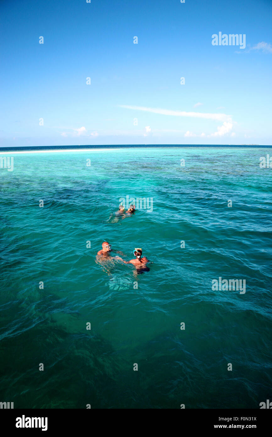 Lo snorkeling in Oceano Indiano - Maldive Foto Stock