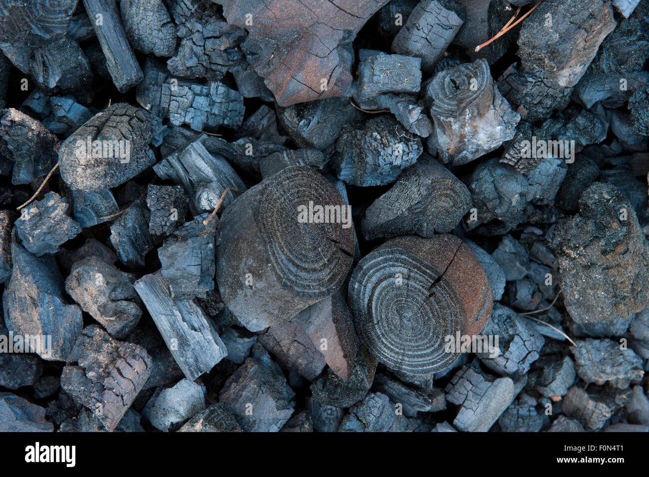 Il carbone di legna, Cartaya Andalusia, Aprile 2009 Foto Stock