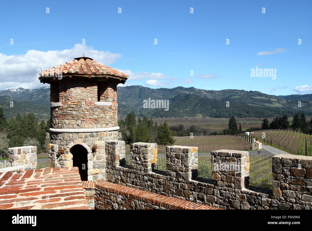 Parte superiore del vecchio castello in vigna rurale Foto Stock