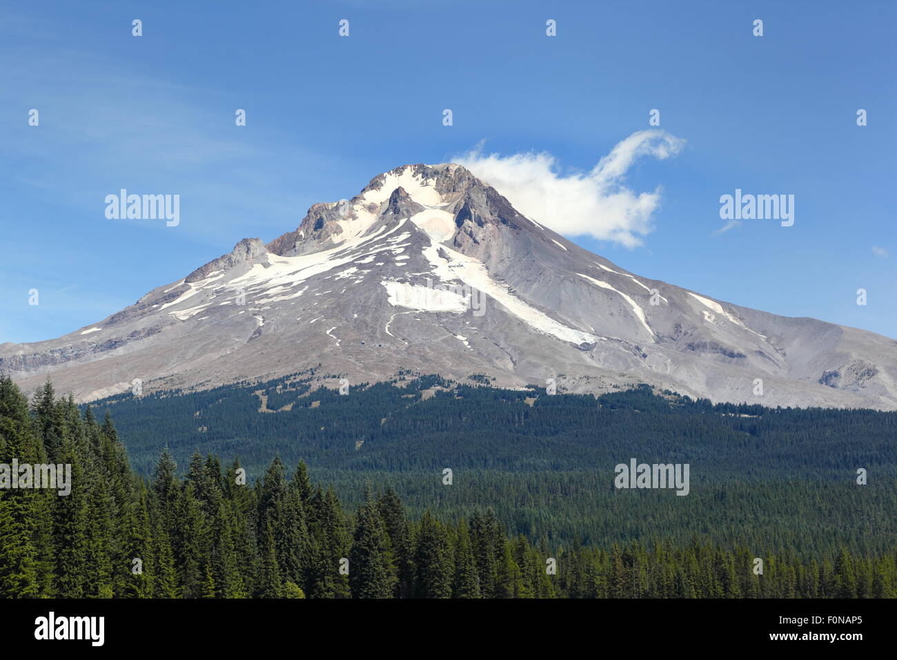 Mt. Hood, Oregon Foto Stock