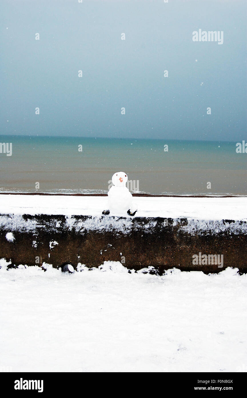 Pupazzo di neve sul lungomare di Brighton Foto Stock