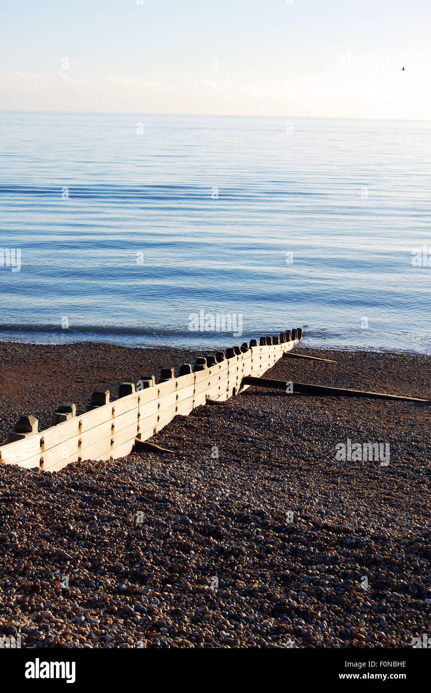 Groyne sulla spiaggia di Brighton Foto Stock