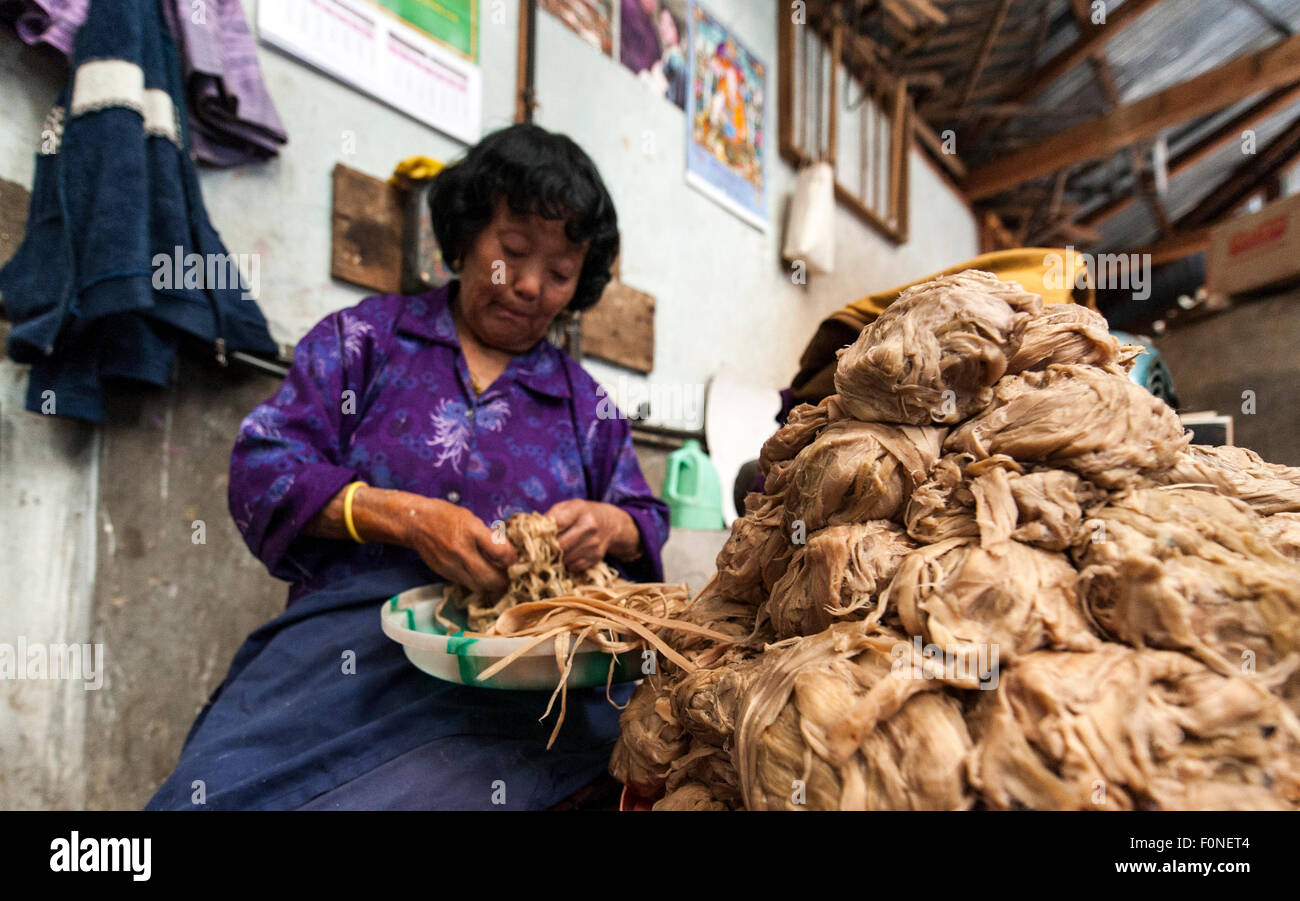 Donna che lavorano alla fabbricazione della carta Thimpu in fabbrica (capitale del paese) Bhutan Foto Stock