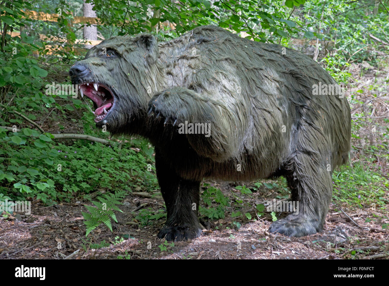 orso delle caverne preistorico