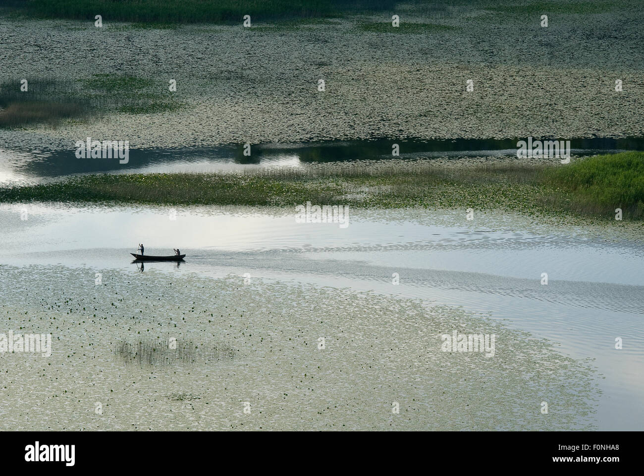 Barca nel canale tra piante sul Lago di Scutari, il Lago di Scutari Parco Nazionale, Montenegro, Maggio 2008 Foto Stock
