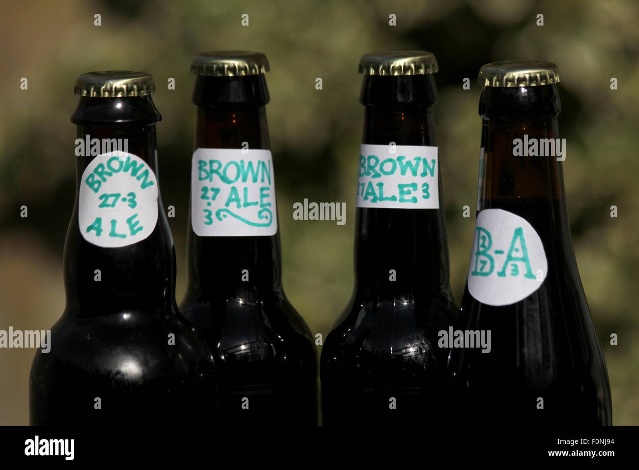 Home birra brown ale con etichettatura amatoriale. Foto Stock