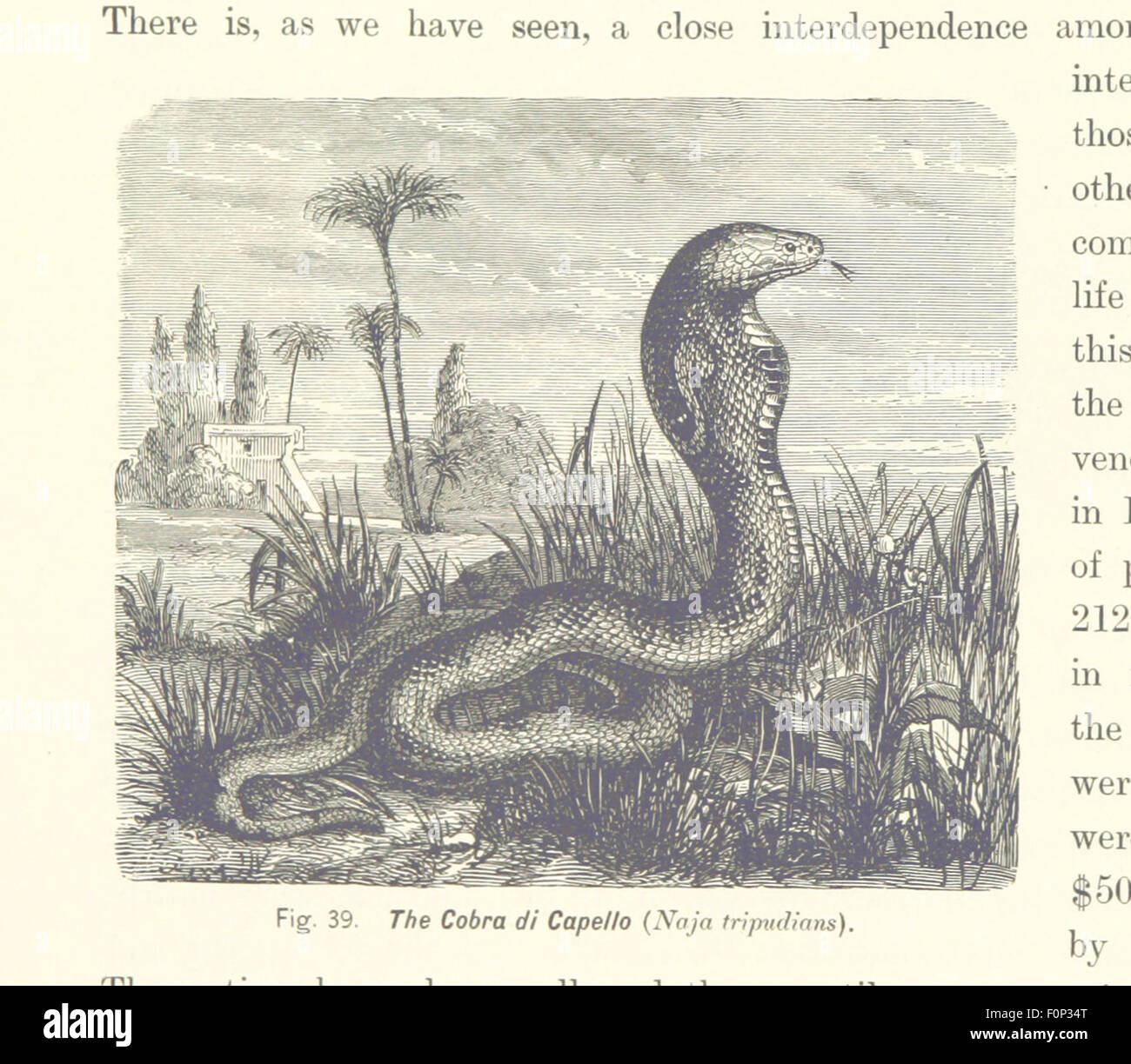 Questa immagine è tratta da pagina 62 di "Gately's World's Progress", una storia completa della formazione della Terra e del progresso umano. Il libro è curato da C.E. Beale e include un'edizione de luxe con illustrazioni che descrivono i principali sviluppi nella storia della Terra e nel progresso umano. Foto Stock