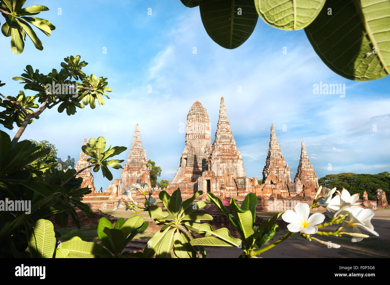 Wat Chaiwatthanaram incorniciata da un frangipani tree, Ayutthaya, Thailandia Foto Stock
