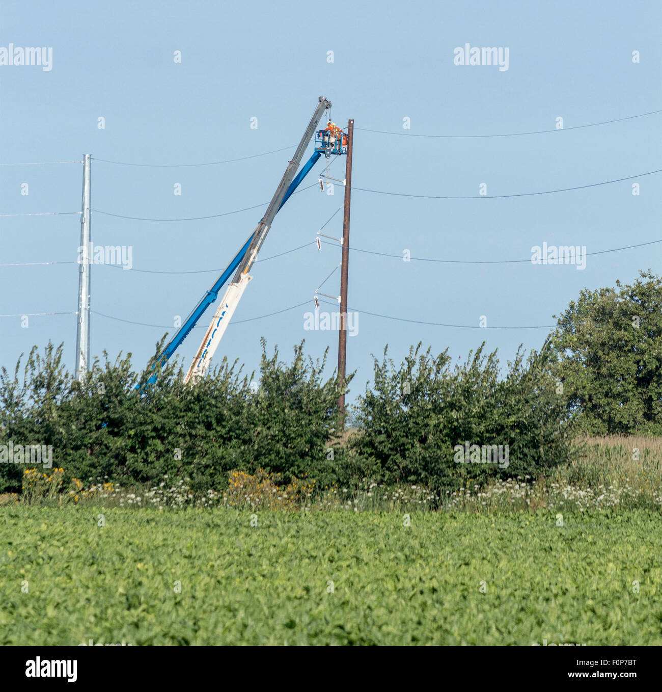 Idro lavoratori sulle gru lavorando su linee di alimentazione appena fuori foresta, Ontario, Canada Foto Stock