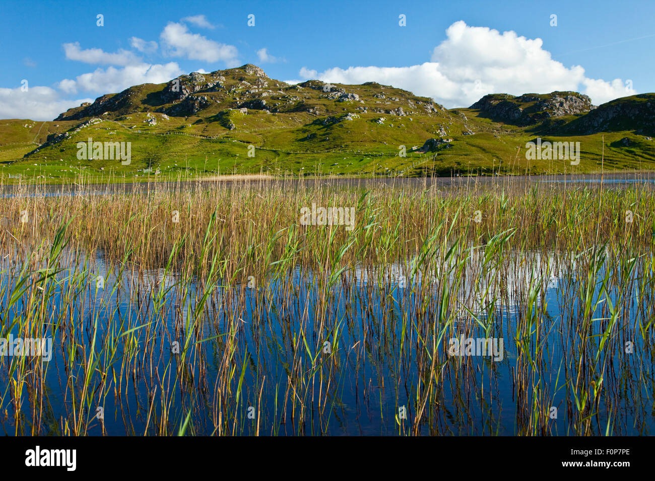 Dail Beag Loch, Lewis, Ebridi Esterne, Scozia, Giugno 2009 Foto Stock