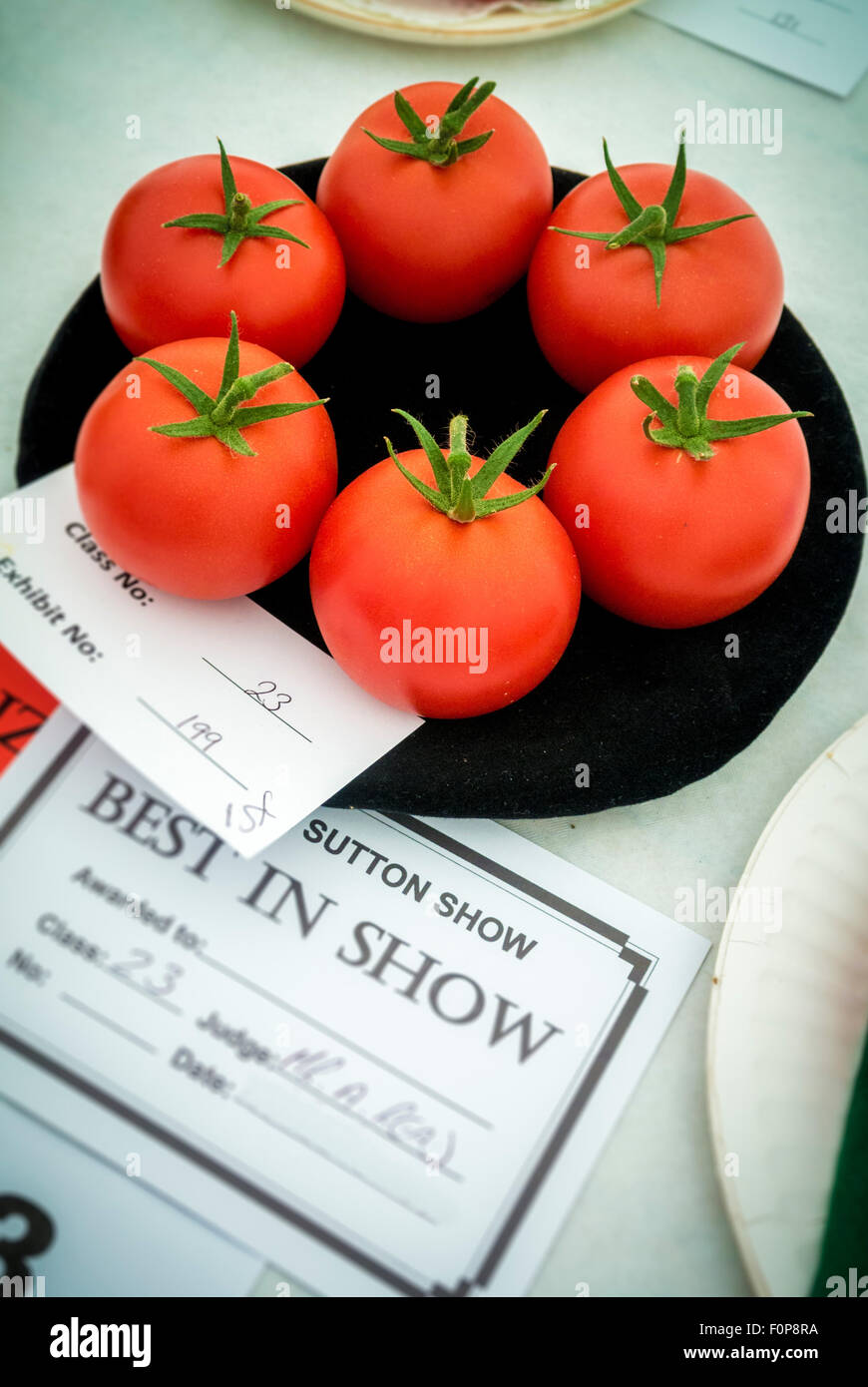 Best in Show award per i pomodori al paese mostrano Foto Stock