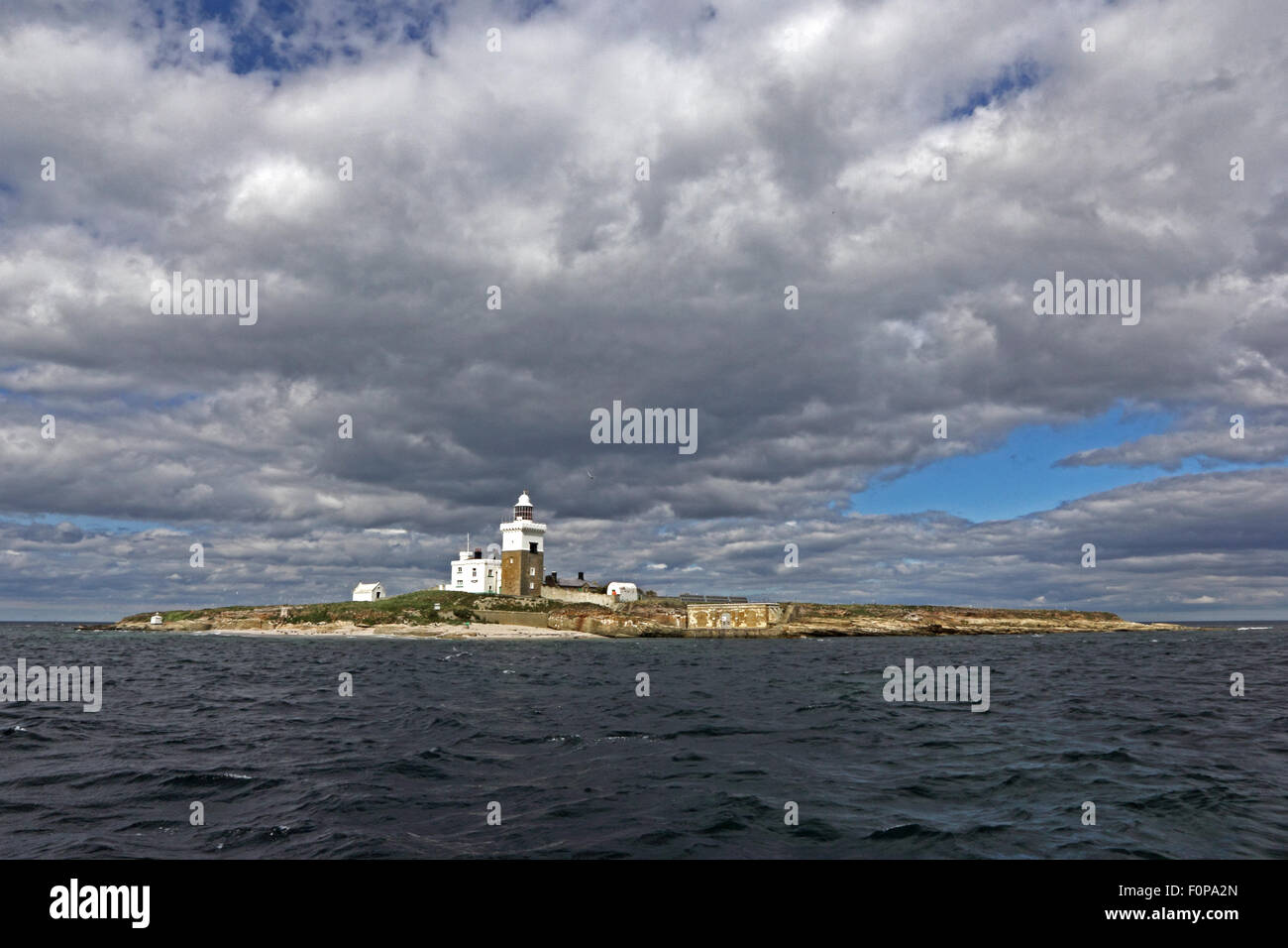 Coquet Island, camminate, Northumberland Foto Stock