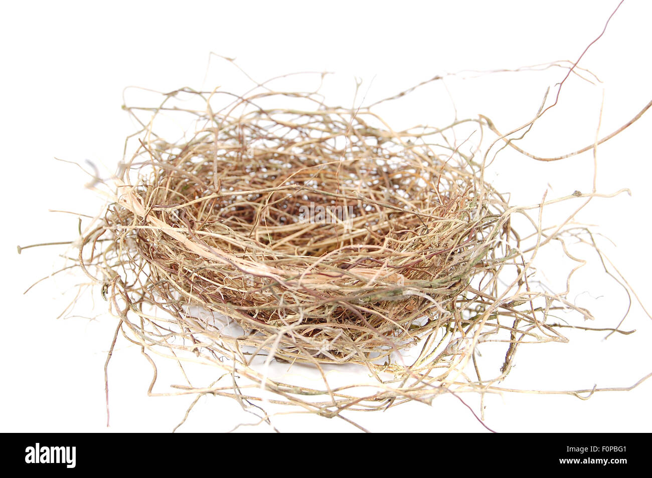 Svuotare Bird's Nest isolato su uno sfondo bianco Foto Stock