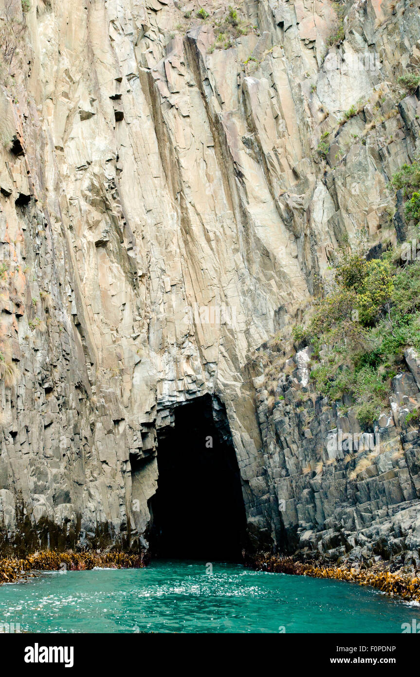 Isola di Bruny grotta - Tasmania - Australia Foto Stock
