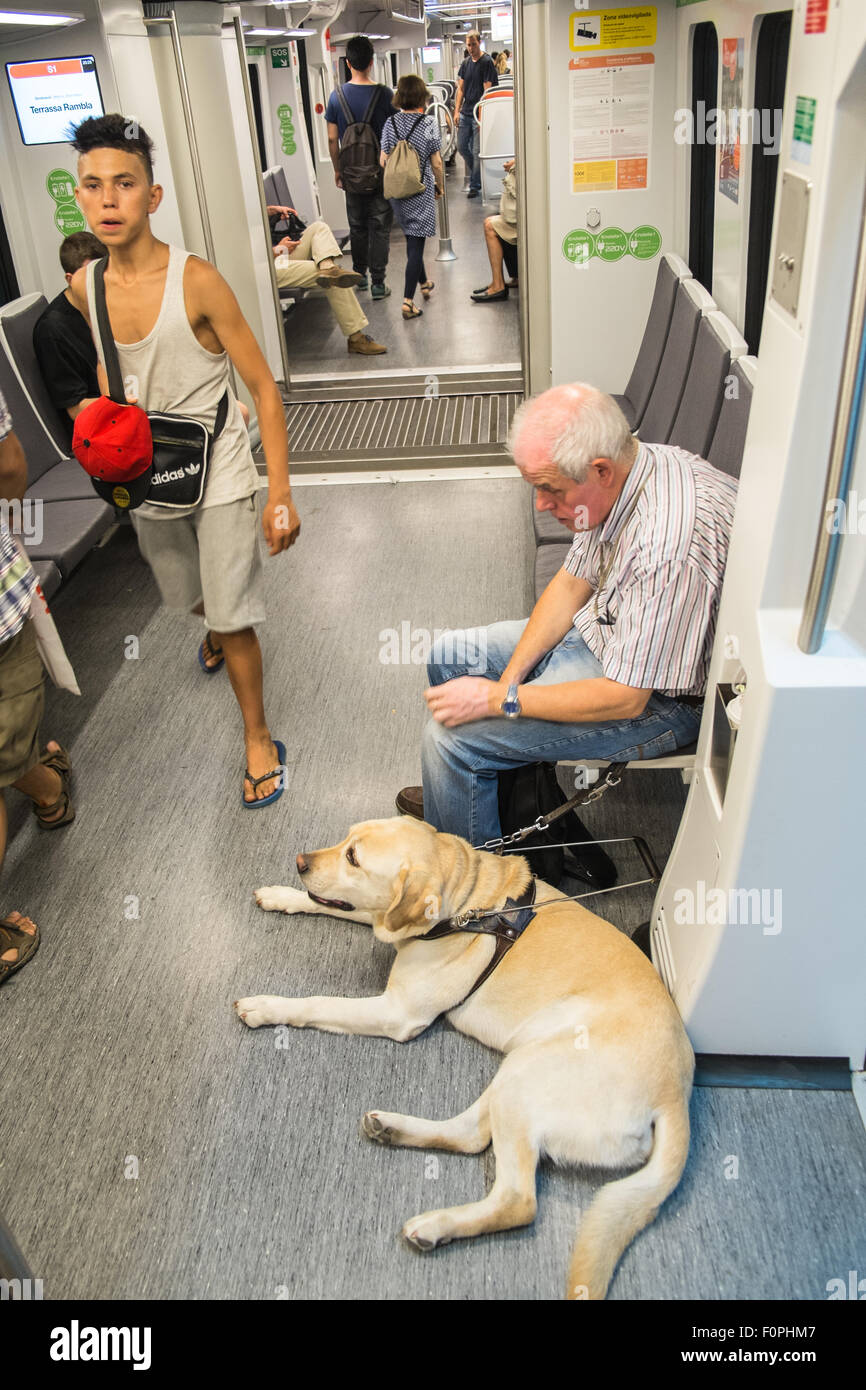 Cieco, l'uomo,cieco e il suo cane guida, viaggi, dal centro di Barcellona alla periferia della città di Terrassa sulla linea S1 treno metro.Catalano,Spagna Foto Stock