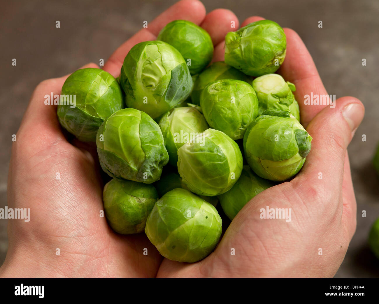 I cavoli di Bruxelles a cinque-un-giorno di verdura verde spesso parte di un pasto di Natale. Un REGNO UNITO Foto Stock
