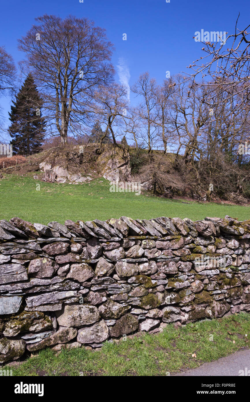 Asciugare la parete in pietra, campo e alberi, Grasmere, Lake District, Cumbria, Inghilterra Foto Stock