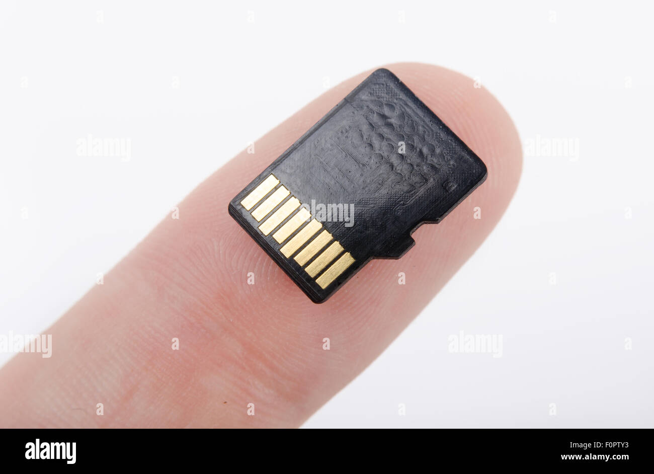 Supporti flash SD card nel canto isolato su sfondo bianco Foto Stock