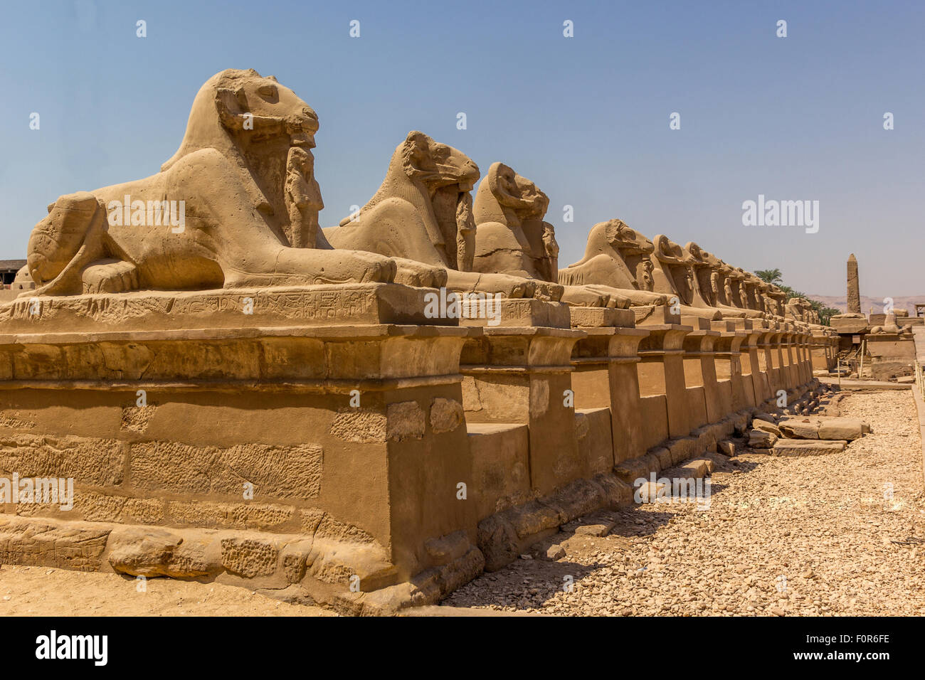 Una vista orizzontale del viale della ram-guidato sfingi. Tempio di Karnak. Luxor, Egitto Foto Stock