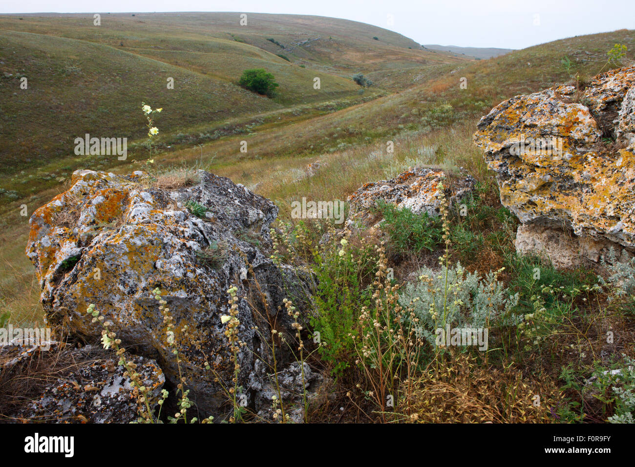 Rocce Bagerova steppa, penisola di Kerch, Crimea, Ucraina, Luglio 2009 Foto Stock